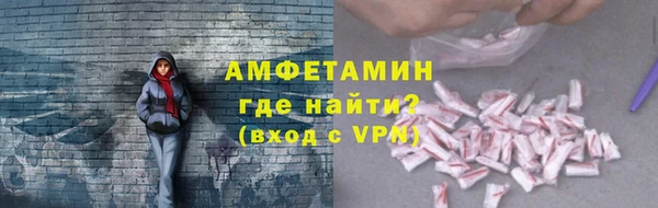 ГАЛЛЮЦИНОГЕННЫЕ ГРИБЫ Аркадак