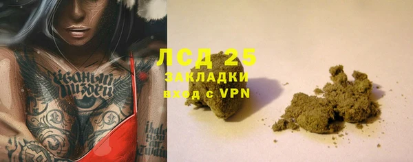 трава Киселёвск