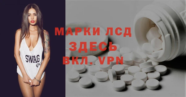 ГАЛЛЮЦИНОГЕННЫЕ ГРИБЫ Аркадак