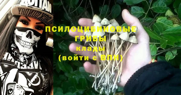 ГАЛЛЮЦИНОГЕННЫЕ ГРИБЫ Аркадак