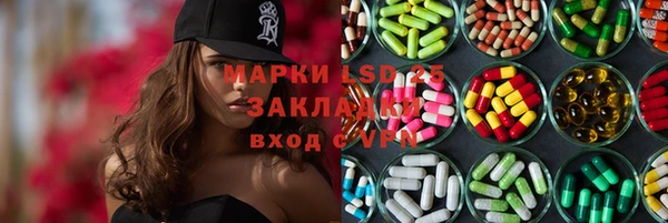 ГАЛЛЮЦИНОГЕННЫЕ ГРИБЫ Аркадак